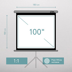 Экран для проектора S'OK SCPST-180x180GR 100'' 1:1 напольный, на треноге, матовый, серый